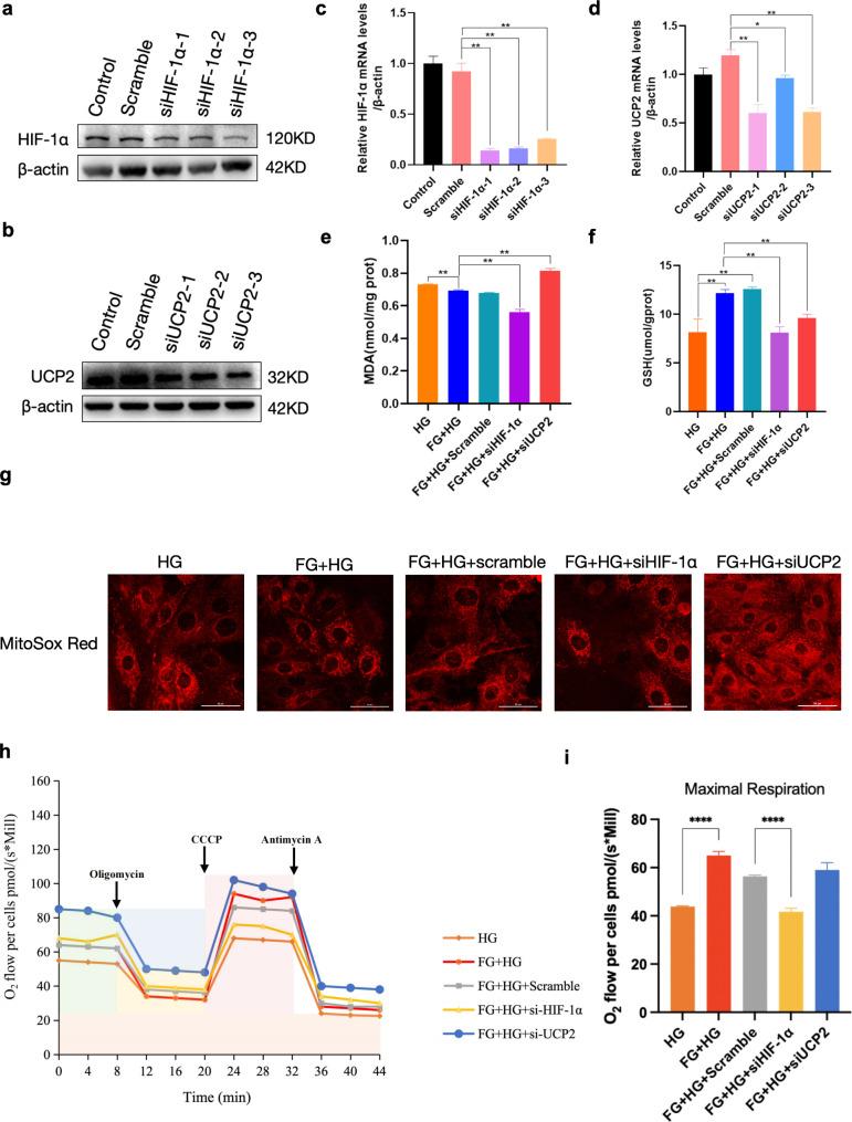 https://cdn.ncbi.nlm.nih.gov/pmc/blobs/fd97/11806548/6cdffabc5688/12933_2025_2601_Fig6_HTML.jpg
