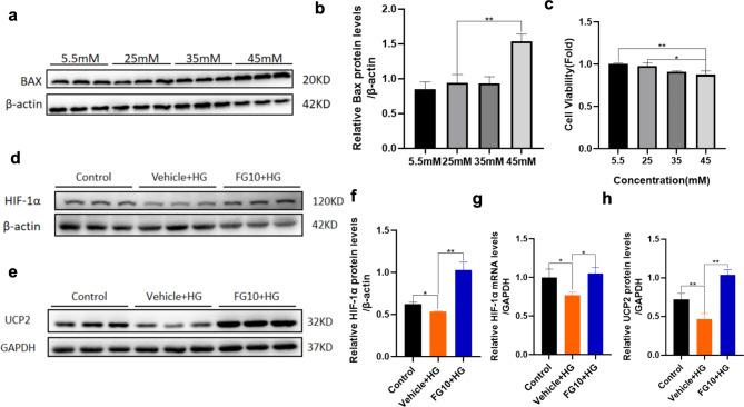 https://cdn.ncbi.nlm.nih.gov/pmc/blobs/fd97/11806548/6e510678a2e2/12933_2025_2601_Fig5_HTML.jpg