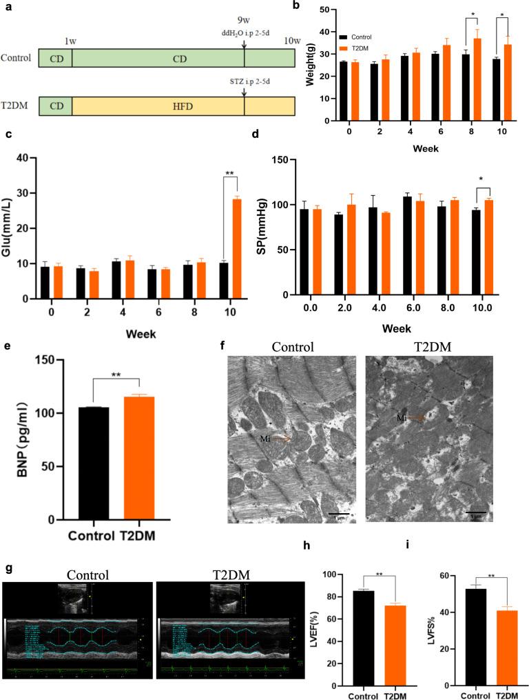 https://cdn.ncbi.nlm.nih.gov/pmc/blobs/fd97/11806548/8f3d36f456fb/12933_2025_2601_Fig1_HTML.jpg