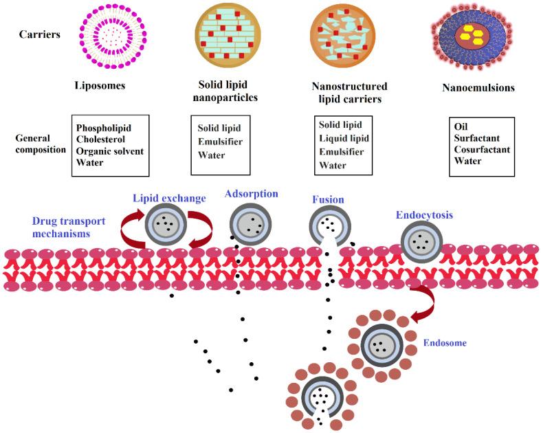 https://cdn.ncbi.nlm.nih.gov/pmc/blobs/fd97/8955373/5be39f527ff7/pharmaceutics-14-00533-g003.jpg