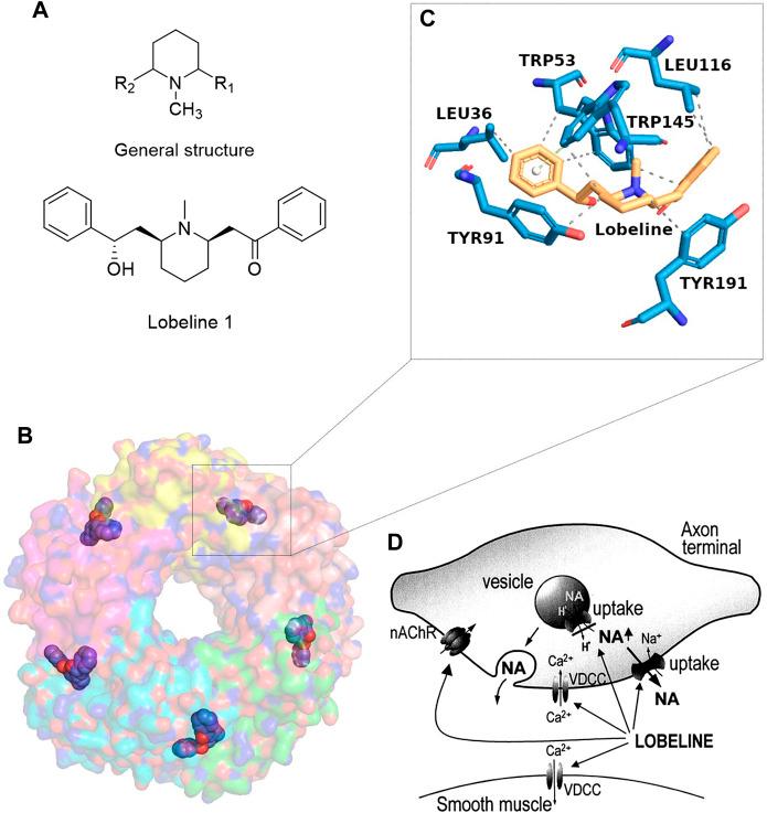 https://cdn.ncbi.nlm.nih.gov/pmc/blobs/fd98/7982472/3a72506df581/fphar-12-638210-g001.jpg