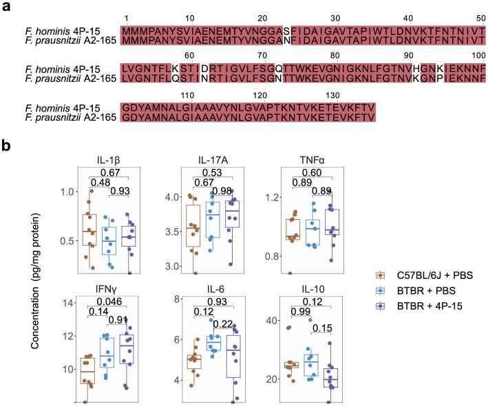 https://cdn.ncbi.nlm.nih.gov/pmc/blobs/fd9a/12411466/9e64edaad11f/fmicb-16-1640149-g0003.jpg