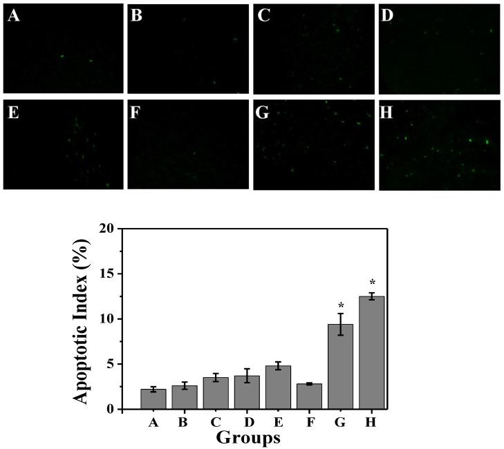 https://cdn.ncbi.nlm.nih.gov/pmc/blobs/fd9c/4329499/98bc8eb1988a/thnov05p0345g012.jpg