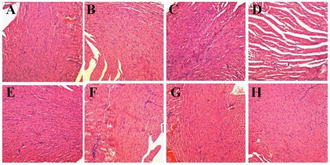 https://cdn.ncbi.nlm.nih.gov/pmc/blobs/fd9c/4329499/9d701cee5a9a/thnov05p0345g011.jpg