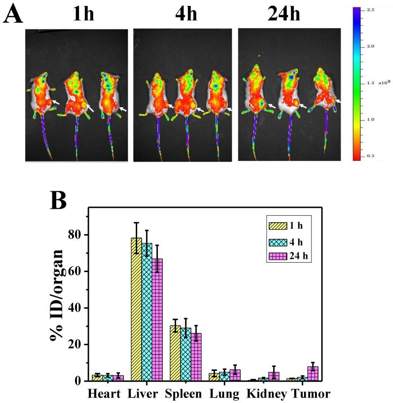 https://cdn.ncbi.nlm.nih.gov/pmc/blobs/fd9c/4329499/dddfcd719c11/thnov05p0345g008.jpg