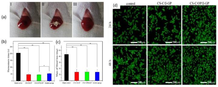 https://cdn.ncbi.nlm.nih.gov/pmc/blobs/fd9d/10342007/22ff6ca2805a/ijms-24-10540-g008.jpg