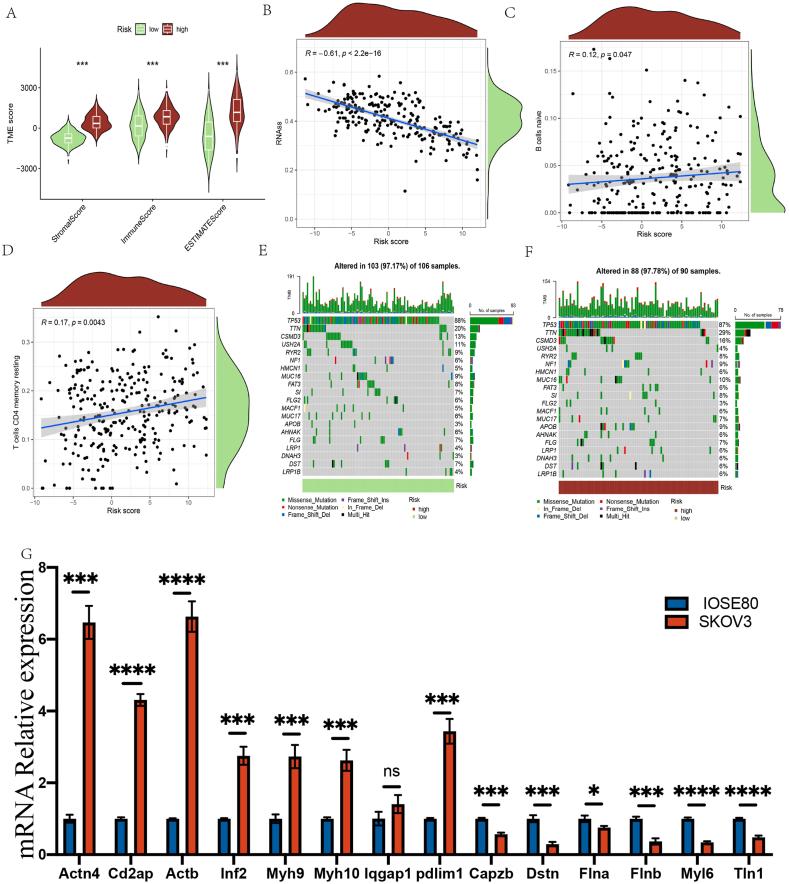 https://cdn.ncbi.nlm.nih.gov/pmc/blobs/fd9d/11215265/269aff724fb6/gr6.jpg