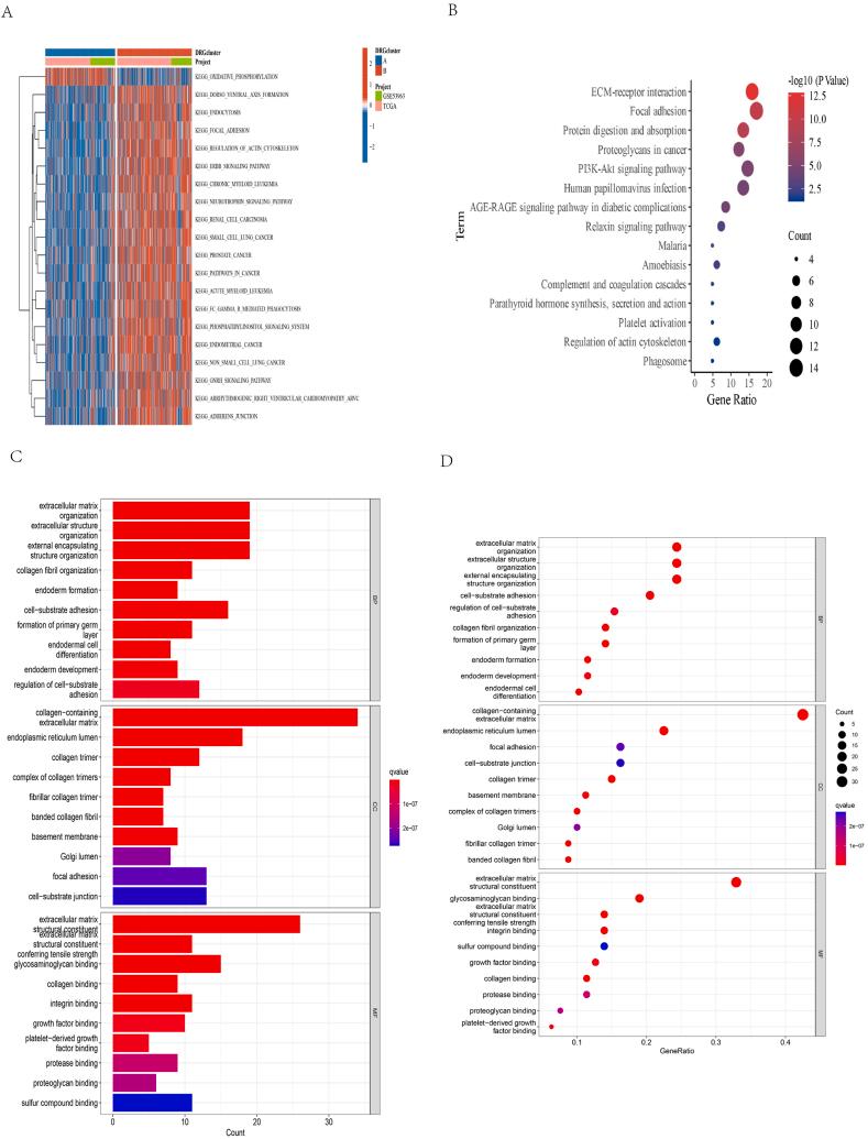 https://cdn.ncbi.nlm.nih.gov/pmc/blobs/fd9d/11215265/dc2508a192b0/gr4.jpg