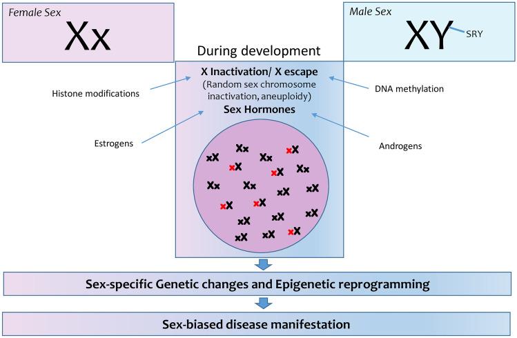 https://cdn.ncbi.nlm.nih.gov/pmc/blobs/fda2/9244100/a982a308460a/109_2022_2227_Fig1_HTML.jpg