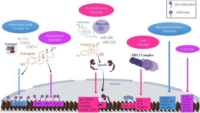 https://cdn.ncbi.nlm.nih.gov/pmc/blobs/fda2/9244100/e521b01b85a6/109_2022_2227_Fig2_HTML.jpg