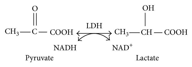 https://cdn.ncbi.nlm.nih.gov/pmc/blobs/fda4/4417566/f988c1b6682e/JDR2015-102054.001.jpg