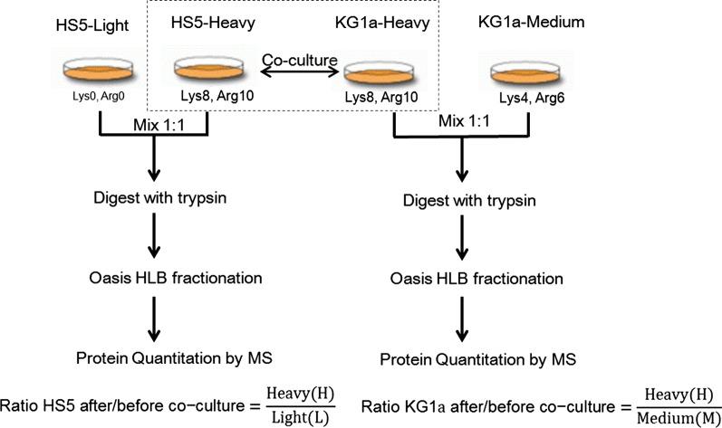 https://cdn.ncbi.nlm.nih.gov/pmc/blobs/fda4/6637644/16cad29325c9/12014_2019_9249_Fig1_HTML.jpg