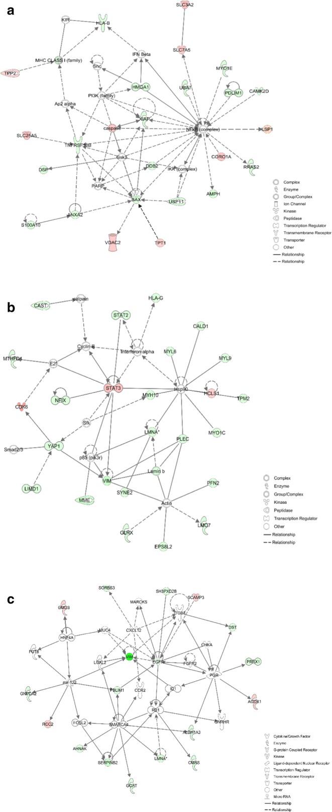 https://cdn.ncbi.nlm.nih.gov/pmc/blobs/fda4/6637644/e451aee26e30/12014_2019_9249_Fig7_HTML.jpg