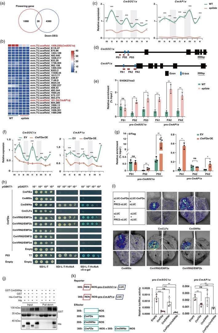 https://cdn.ncbi.nlm.nih.gov/pmc/blobs/fda5/12205895/59ff740f8df5/PBI-23-2720-g004.jpg