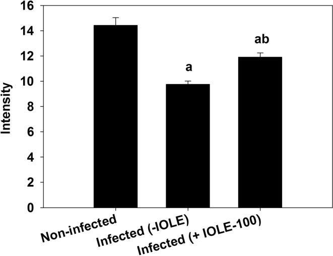 https://cdn.ncbi.nlm.nih.gov/pmc/blobs/fda5/5643835/bd9213a89040/gr6.jpg