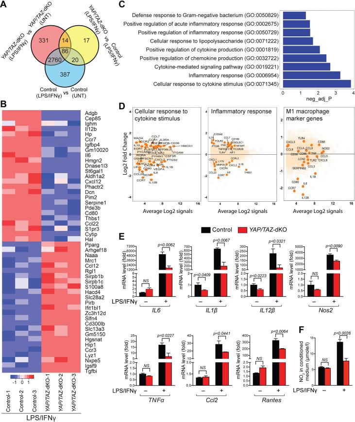 https://cdn.ncbi.nlm.nih.gov/pmc/blobs/fda6/7735680/fd16aae4e2e6/pbio.3000941.g002.jpg