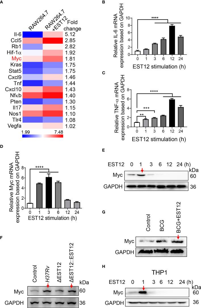 https://cdn.ncbi.nlm.nih.gov/pmc/blobs/fda6/9393728/682af56de52f/fimmu-13-943174-g001.jpg