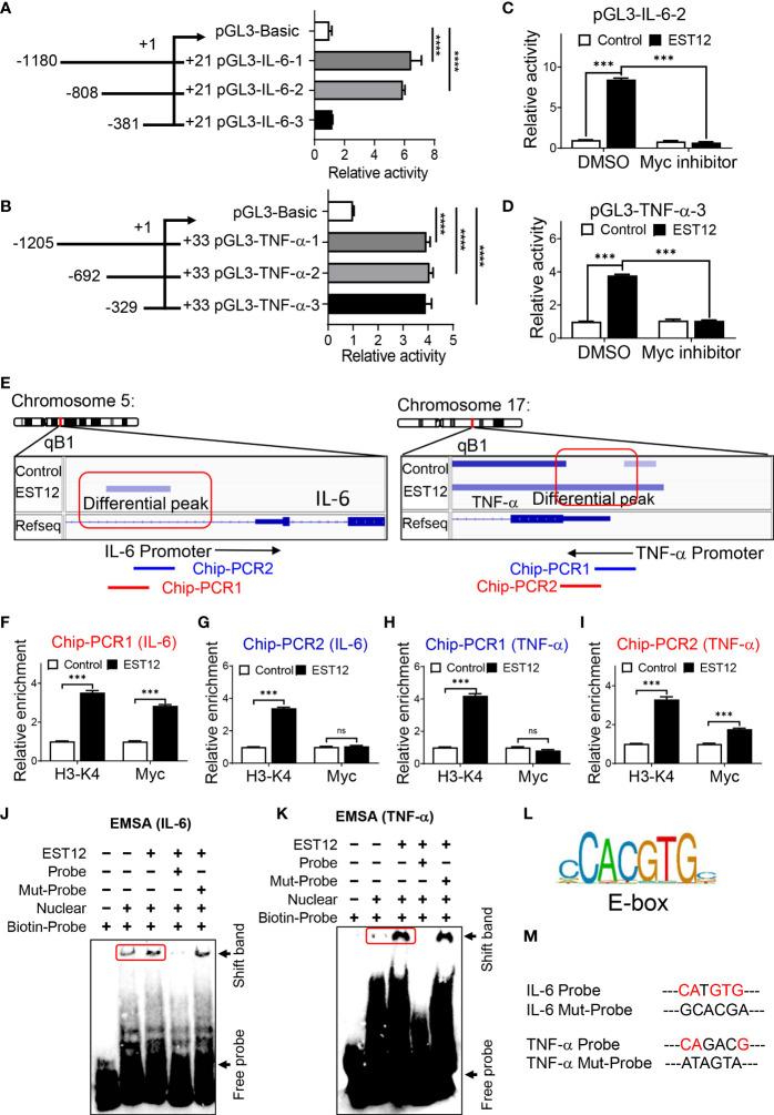 https://cdn.ncbi.nlm.nih.gov/pmc/blobs/fda6/9393728/a0ce285be1b3/fimmu-13-943174-g004.jpg