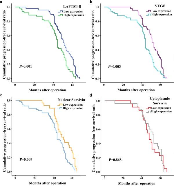 https://cdn.ncbi.nlm.nih.gov/pmc/blobs/fda9/5522199/ee0e5007f40b/oncotarget-08-41282-g004.jpg