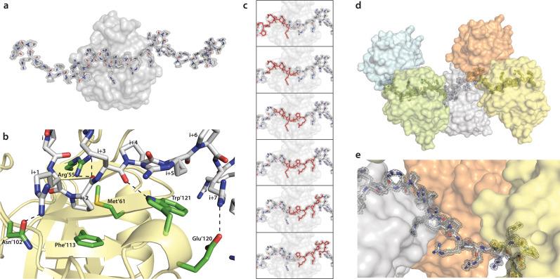 https://cdn.ncbi.nlm.nih.gov/pmc/blobs/fdac/8184751/9fb84cb32cc8/41467_2021_23691_Fig3_HTML.jpg