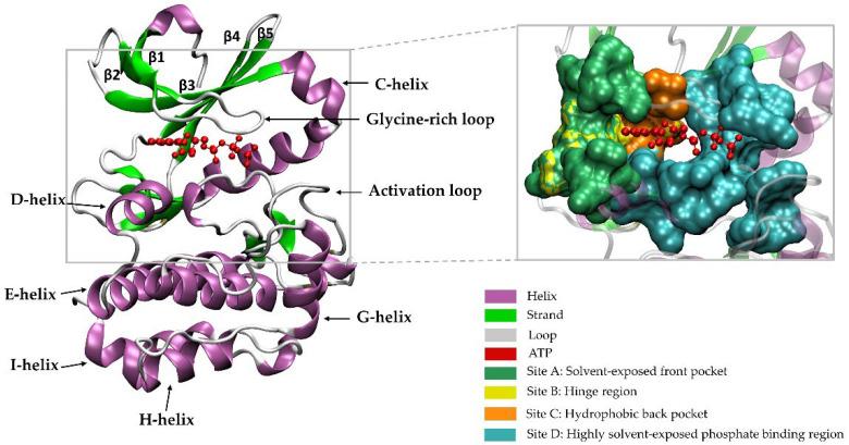 https://cdn.ncbi.nlm.nih.gov/pmc/blobs/fdb2/8949110/9489a99acfff/pharmaceutics-14-00515-g001.jpg