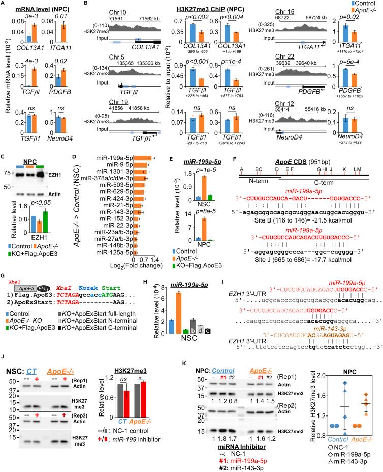 https://cdn.ncbi.nlm.nih.gov/pmc/blobs/fdb3/10909902/beec2a91ce1e/gr5.jpg