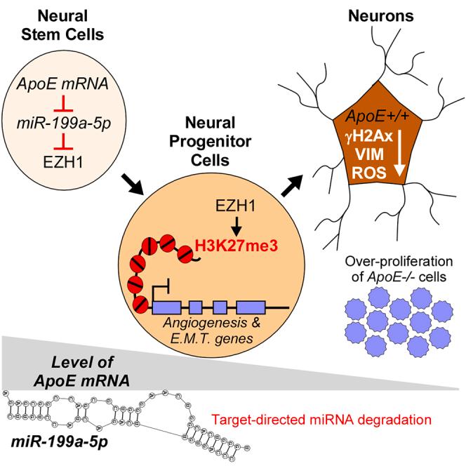 https://cdn.ncbi.nlm.nih.gov/pmc/blobs/fdb3/10909902/ec990259da1e/fx1.jpg
