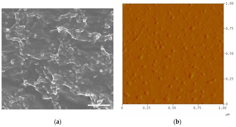https://cdn.ncbi.nlm.nih.gov/pmc/blobs/fdb8/11677570/73a03347a185/polymers-16-03485-g002.jpg