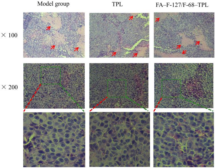 https://cdn.ncbi.nlm.nih.gov/pmc/blobs/fdb8/11677570/fa847563eed1/polymers-16-03485-g008.jpg