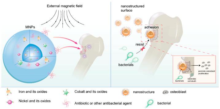 https://cdn.ncbi.nlm.nih.gov/pmc/blobs/fdb9/12111946/524037ef8f43/jfb-16-00189-g005.jpg
