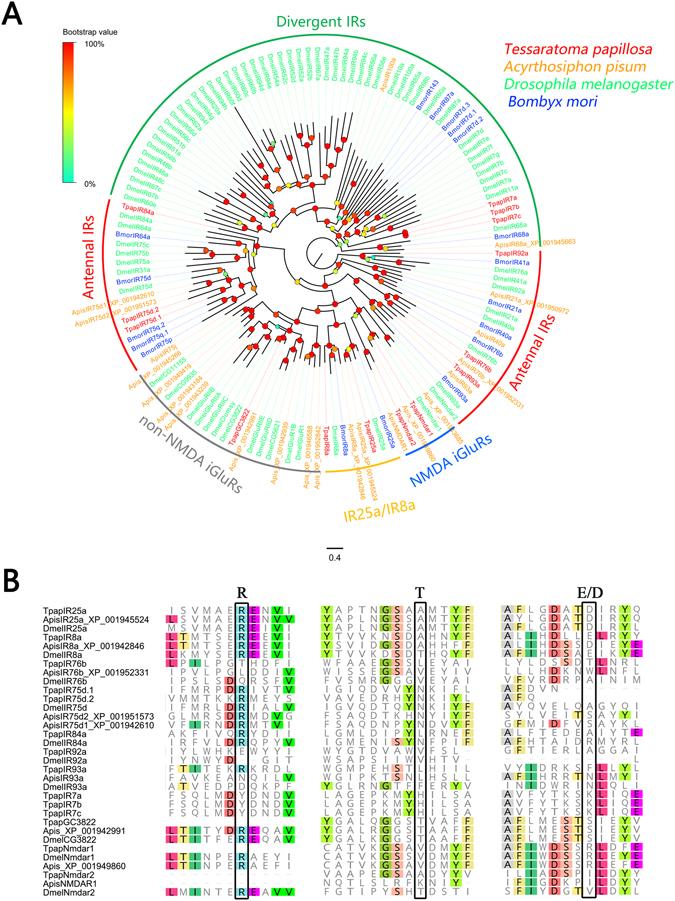 https://cdn.ncbi.nlm.nih.gov/pmc/blobs/fdb9/5465196/1e4ddfeb6b80/41598_2017_3306_Fig4_HTML.jpg