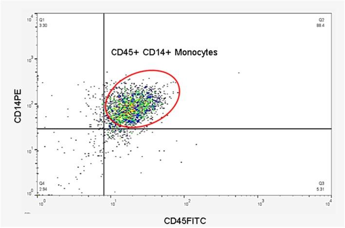 https://cdn.ncbi.nlm.nih.gov/pmc/blobs/fdbc/11911130/54a9fb7c506d/FSN3-13-e70068-g004.jpg