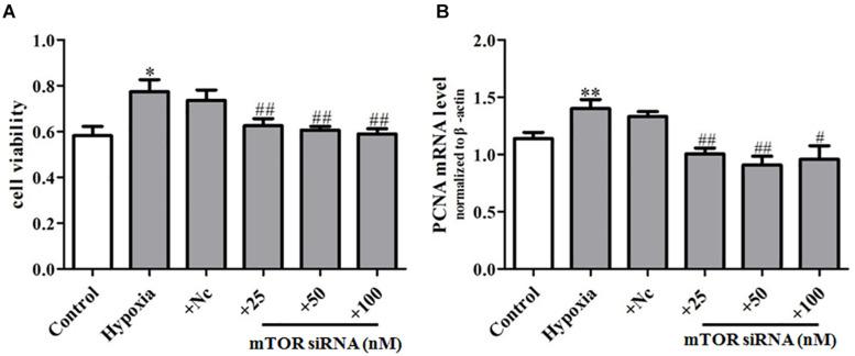 https://cdn.ncbi.nlm.nih.gov/pmc/blobs/fdbc/8058366/b066c6c22a64/fphys-12-656139-g007.jpg