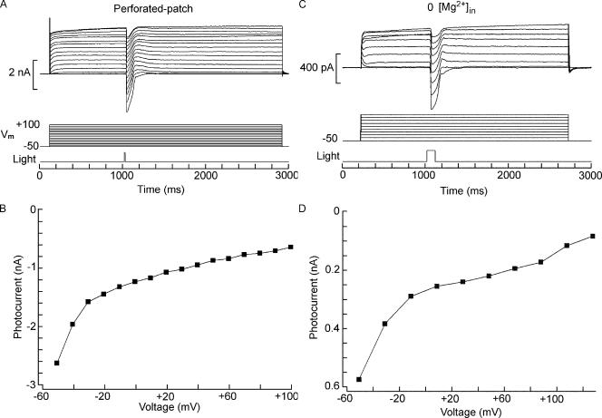 https://cdn.ncbi.nlm.nih.gov/pmc/blobs/fdbe/3250099/af865aa59a26/JGP_201110717_Fig5.jpg