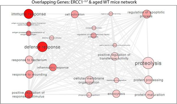 https://cdn.ncbi.nlm.nih.gov/pmc/blobs/fdbe/3751413/0efc6ea96e29/1471-2164-14-559-4.jpg