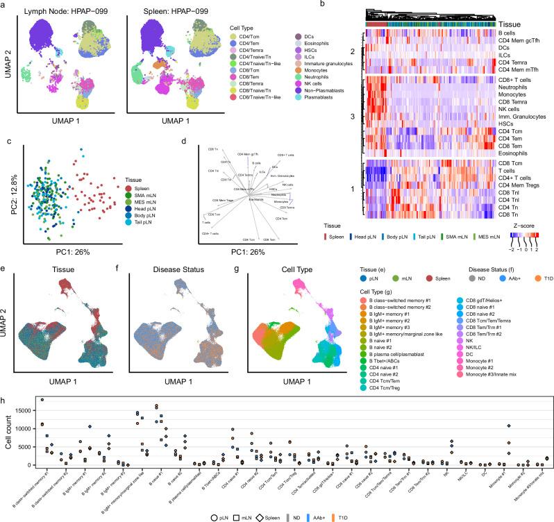 https://cdn.ncbi.nlm.nih.gov/pmc/blobs/fdbf/12086209/062db132a434/41467_2025_59626_Fig1_HTML.jpg