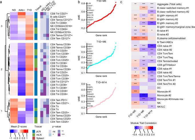 https://cdn.ncbi.nlm.nih.gov/pmc/blobs/fdbf/12086209/079a6a9f7d72/41467_2025_59626_Fig2_HTML.jpg