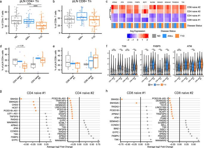 https://cdn.ncbi.nlm.nih.gov/pmc/blobs/fdbf/12086209/ada4e0be7339/41467_2025_59626_Fig4_HTML.jpg