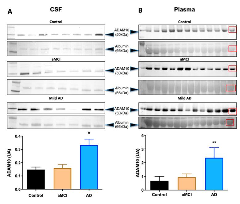 https://cdn.ncbi.nlm.nih.gov/pmc/blobs/fdbf/7957802/f11487b8c869/ijms-22-02416-g002.jpg