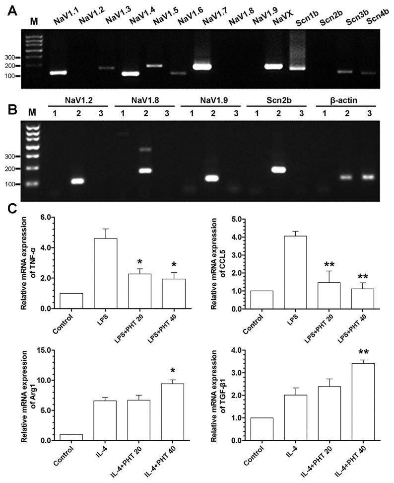 https://cdn.ncbi.nlm.nih.gov/pmc/blobs/fdc1/3777990/5f4ebacbda4a/pone.0074390.g002.jpg