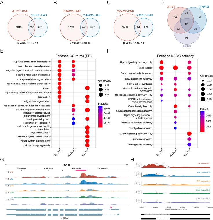https://cdn.ncbi.nlm.nih.gov/pmc/blobs/fdc2/11759410/1cb7bdbd000c/elife-100144-fig6.jpg