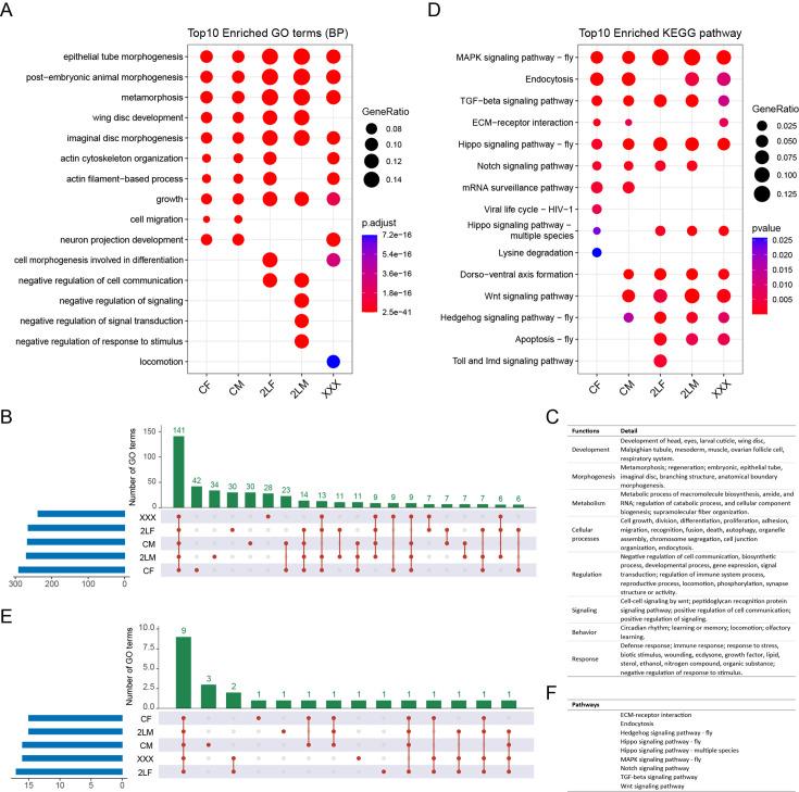 https://cdn.ncbi.nlm.nih.gov/pmc/blobs/fdc2/11759410/27e35a7327f2/elife-100144-fig2-figsupp2.jpg