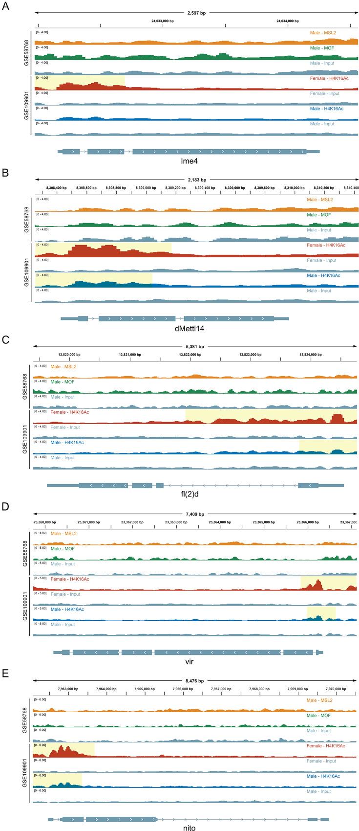 https://cdn.ncbi.nlm.nih.gov/pmc/blobs/fdc2/11759410/57d9c0d81c02/elife-100144-fig8-figsupp2.jpg