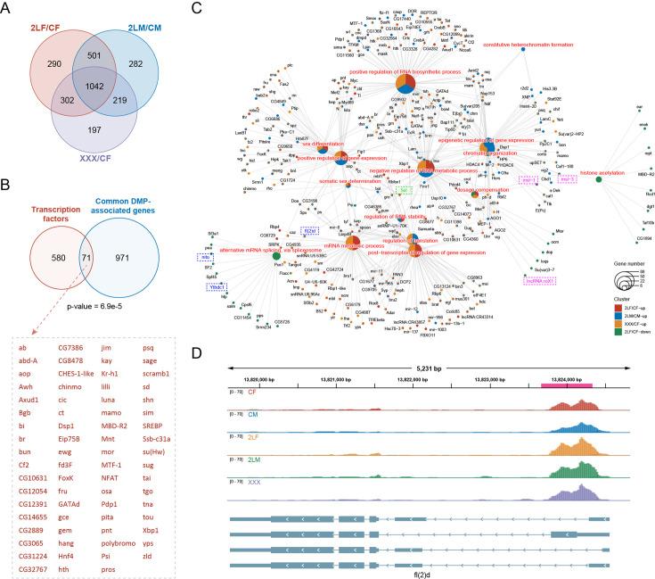 https://cdn.ncbi.nlm.nih.gov/pmc/blobs/fdc2/11759410/7371aa16d09f/elife-100144-fig4.jpg