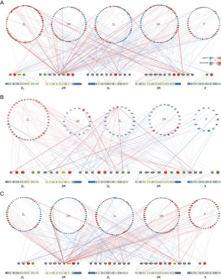 https://cdn.ncbi.nlm.nih.gov/pmc/blobs/fdc2/11759410/a6e7ce57970d/elife-100144-fig5-figsupp1.jpg
