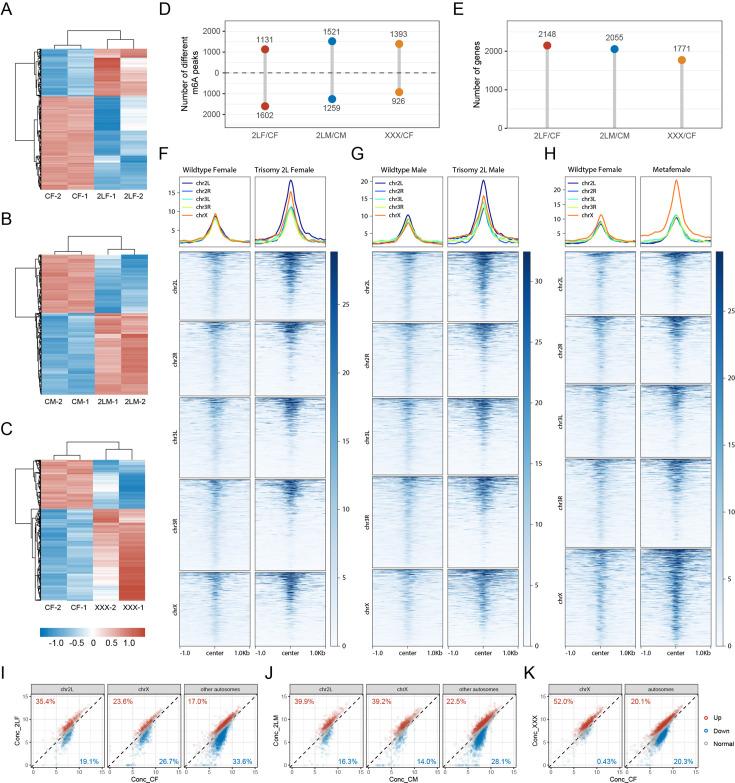 https://cdn.ncbi.nlm.nih.gov/pmc/blobs/fdc2/11759410/b94d712ebdd5/elife-100144-fig3.jpg