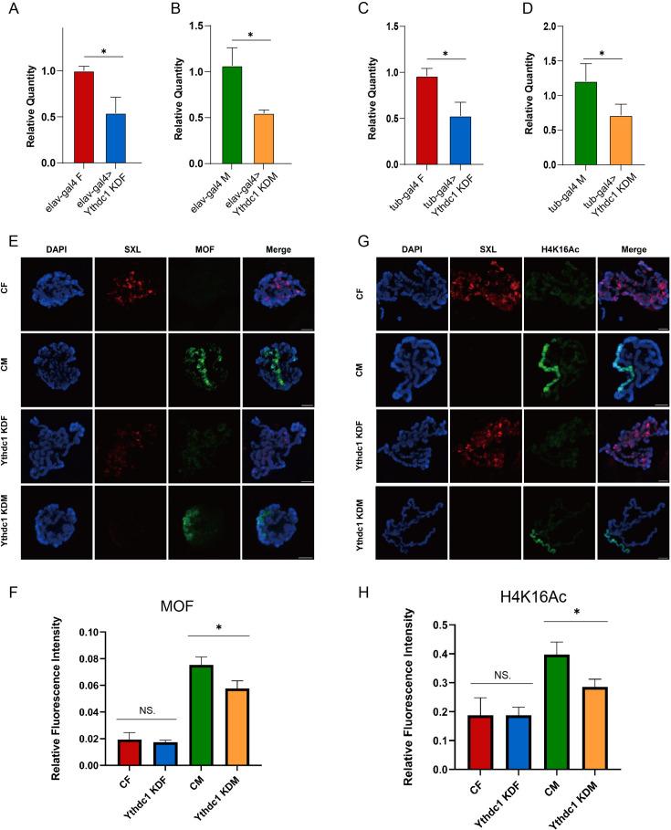 https://cdn.ncbi.nlm.nih.gov/pmc/blobs/fdc2/11759410/d256bfc2a38d/elife-100144-fig8-figsupp1.jpg