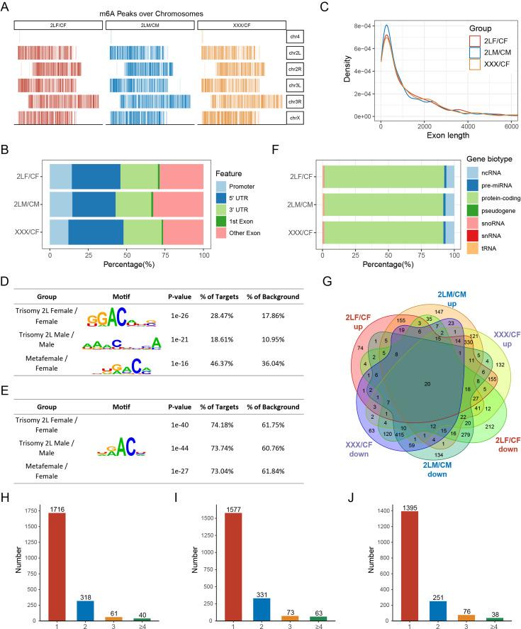 https://cdn.ncbi.nlm.nih.gov/pmc/blobs/fdc2/11759410/de0523e644fa/elife-100144-fig3-figsupp1.jpg