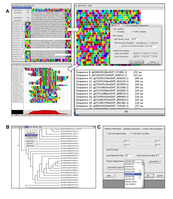 https://cdn.ncbi.nlm.nih.gov/pmc/blobs/fdc4/2949895/12386530cdb4/1471-2105-11-467-1.jpg