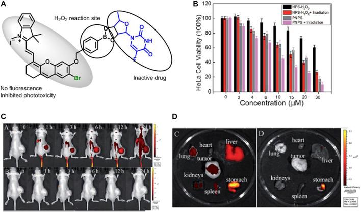 https://cdn.ncbi.nlm.nih.gov/pmc/blobs/fdc4/8263920/57a337461a47/fchem-09-707876-g011.jpg